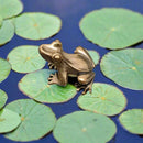 Brass Frog Toad Totem / Spirit Animal Mini Figurine FB1621 🐸
