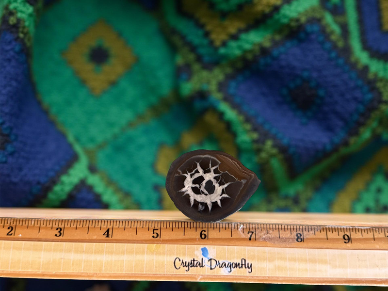 Septarian  Dragon Stone Polished Nodule Slab for balance and tranquility FB1746 💛