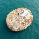 Ocean Jasper Flat Oval Hand Pebbles for joy, happiness and contentment FB1359 🧡