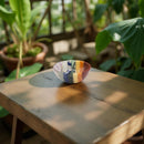 Seven Gemstone Chakra Bonded Bowl FB2775 🐚