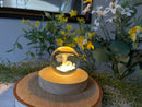 Holographic 3-D Clear Sphere with Lighted Wood Stand FB3241 🌿