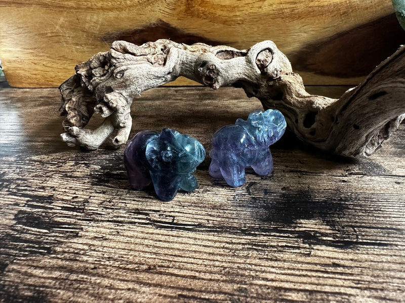 Elephant Totem/Spirit Animal Carving, Fluorite FB2060