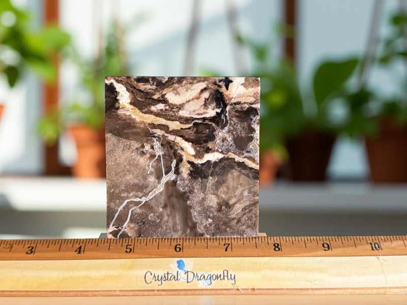Coffee Opal Pyramid, Large with striking color and patterns FB2908 💙