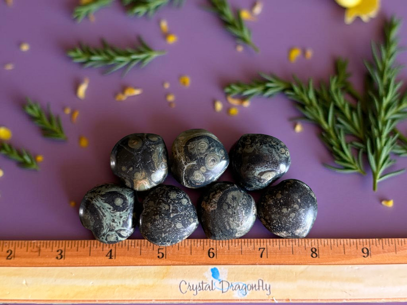 Kambaba Jasper Hearts for focus, nightmares and prosperity FB2297 💚