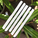 Selenite Rough from Morocco, 7" Sticks, Pack of 5 FB1288 🧚