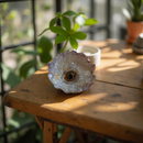 Amethyst Flower Cluster tranquility, calm and serenity FB2537 🌸