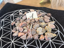 Tumbled Leopardskin Jasper for animal bonding, vitality, and healing FB1293