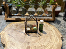 Crystal Energy Terrariums, Complete Collections with Intention FB1201