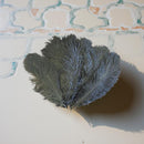 Black Ostrich Feather for Smudging, Large 10" to 14" FB3177🪶