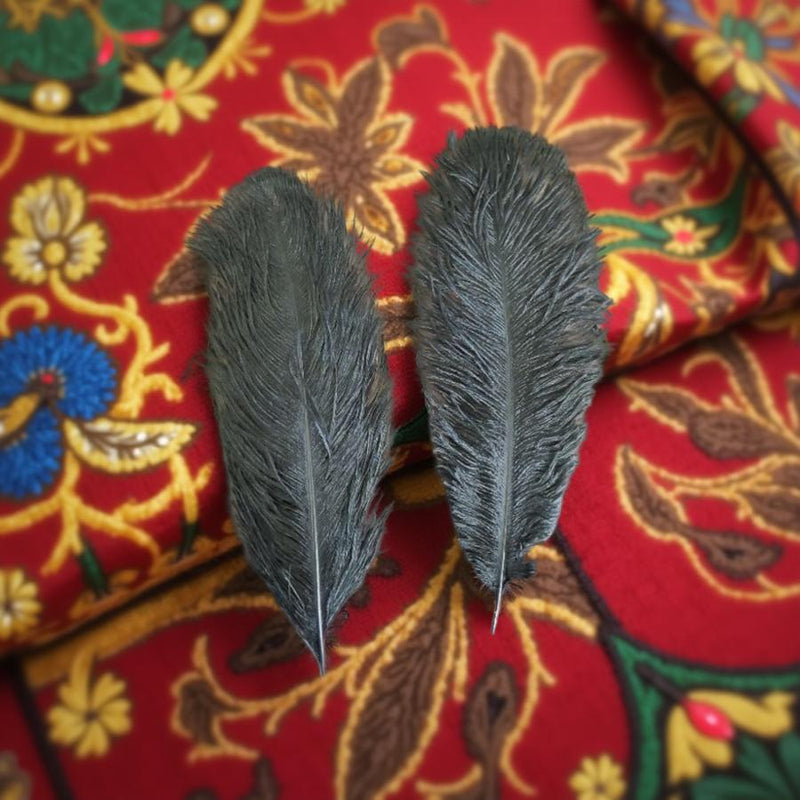 Black Ostrich Feather for Smudging, Large 10" to 14" FB3177🪶