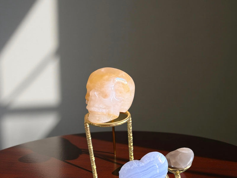 Golden Healer Skull, regeneration FB2994 🏜️