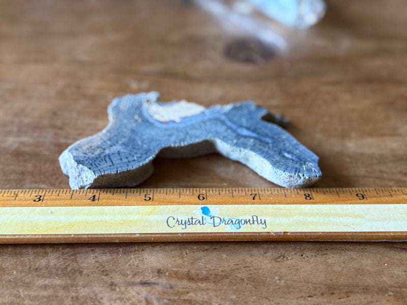 Fossilized Blue Coral Slab from Madagascar for nurturing, protection FB1092 🌸
