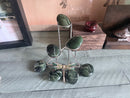 Nephrite Jade Palm Stone FB2922 💠
