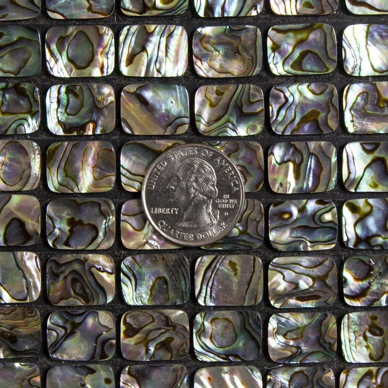 Abalone Rectangle Polished Cabochons FB2036 🌱