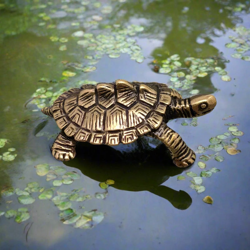 Brass Turtle / Tortoise Totem / Spirit Animal Mini Figurine FB1620 🐢