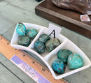 Tumbled Chrysocolla for Love, Stress & Rebuilding