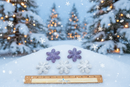 White Howlite or Lepidolite Snowflake FB2416