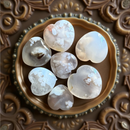 Mini Stars, Moons, Starfish and Hearts FB2268 🌸