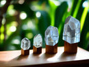 Clear Quartz Polished Standing Points from Brazil, Water Clear, Stone of Power FB3204 🪭