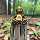 Brass Frog Toad Totem / Spirit Animal Mini Figurine FB1621 🐸