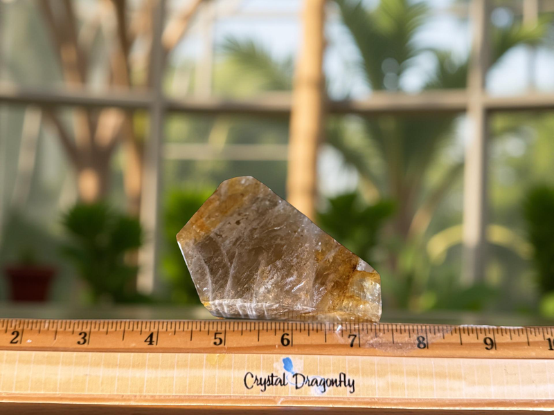 Golden Healer Quartz Polished Free Form FB2076 💛