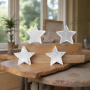 Selenite Stars for positive energy FB1223 ✨