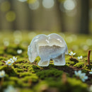 Agate Drusy Bear Figurine - Animal Totem - Spirit Animal FB2588 🐻