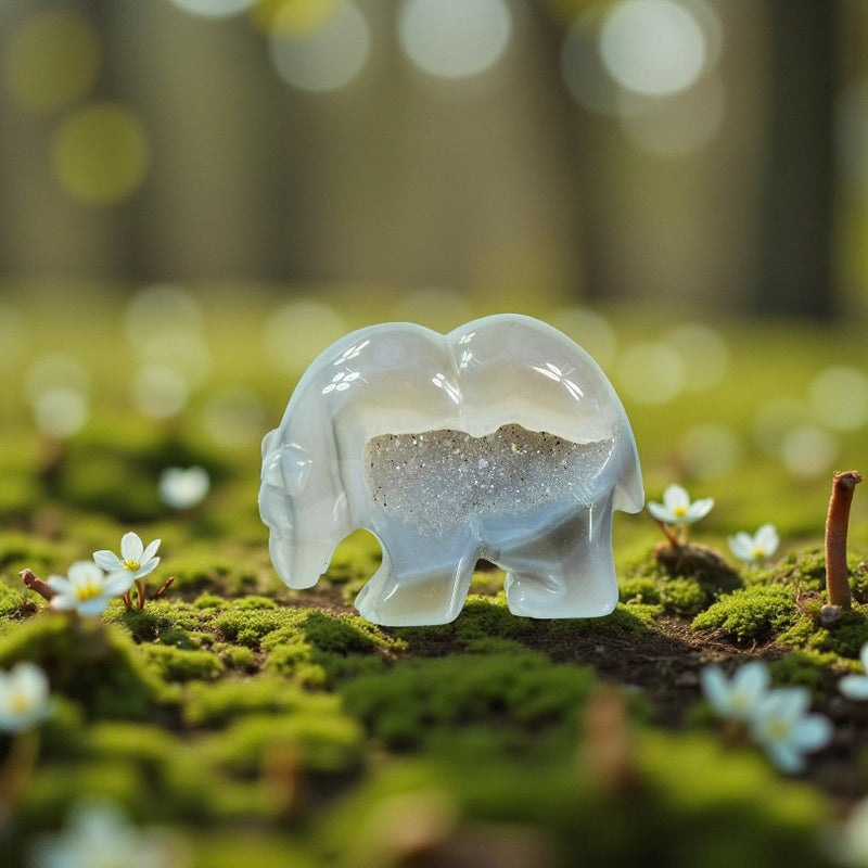 Agate Drusy Bear Figurine - Animal Totem - Spirit Animal FB2588 🐻