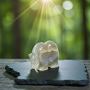 Agate Drusy Bear Figurine - Animal Totem - Spirit Animal FB2588 🐻