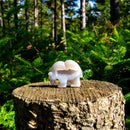 Agate Drusy Bear Figurine - Animal Totem - Spirit Animal FB2588 🐻