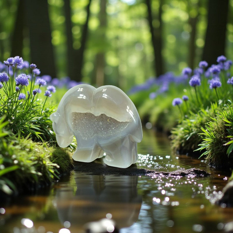 Agate Drusy Bear Figurine - Animal Totem - Spirit Animal FB2588 🐻