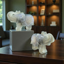 Agate Drusy Elephant Figurine - Totem Animal, Spirit Animal FB1798 🐘