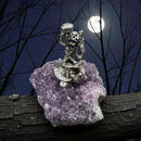 Amethyst Natural Cluster with Skeleton Figurine atop Turtle FB1977 💜