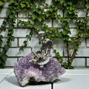 Amethyst Natural Cluster with Skeleton Figurine atop Turtle FB1977 💜