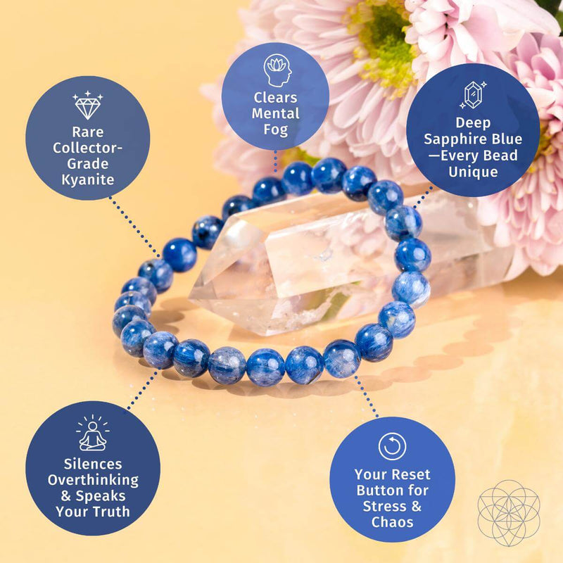 Rare Polished Kyanite Bracelet - My Truth, My Power – CI601 💜