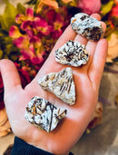 Astrophyllite Rough FB1415 🌟