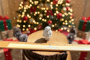 Fluorite or White Howlite Holiday Tree FB2390