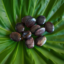 Red Tiger Eye Palm Stones - Pillow Shape from South Africa FB1432 🍐