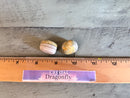 Tumbled Bumblebee Jasper for Joy & Self-Esteem, Assorted Sizes FB1792