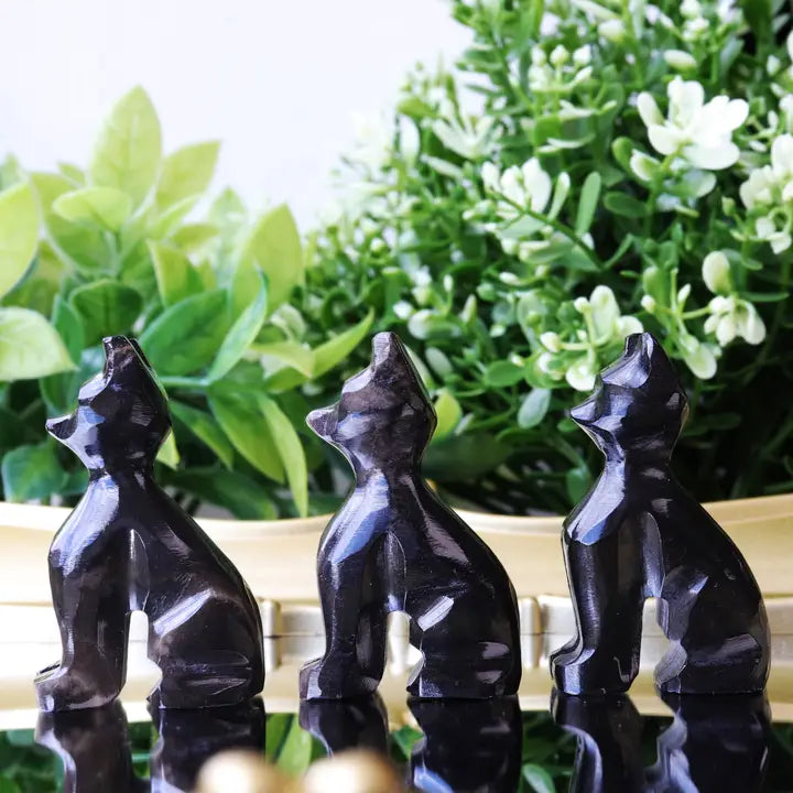 Cat Carving - Spirit / Totem Animal - Black Obsidian FB1310 🐈