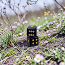 Black Obsidian Dice Pair FB2968  🌻🐘🌻