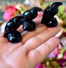 Black Obsidian Curvy Carved Raven Figurine Totem / Spirit Animal FB2880 🐦‍⬛🐦‍⬛