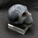 Blue Agate Skull, 2 1/2" FB3054 💀