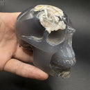 Blue Flower Agate Skull FB3278 💀