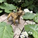Brass Bulldog Highly Detailed Figurine - Animal Totem / Spirit Animal FB1903 🌻🐕🌻