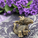 Brass Cartoon-y Dragon with Bumpy Hide Spirit / Totem Animal Figurine 🐸 FB1609