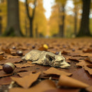 Brass Corgi Dog Totem / Spirit Animal Figurine 🧡 FB2749