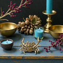 Brass Open Claws Crab Figurine Totem / Spirit Animal FB1604 🦀