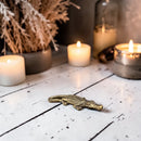 Brass Little Crocodile Totem / Spirit Animal Mini Figurine FB2678 🐊