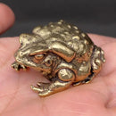 Brass Crouching Toad Frog Totem / Spirit Animal Mini Figurine FB2682 🐸
